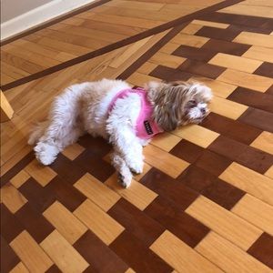 Meet your Posher, Natalie